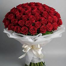 Букет 101 Красная роза Блэк Мэджик в Армянске