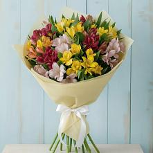 Букет цветов из:  Альстромерии в Армянске