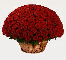 Премиум букет из: Розы в Армянске