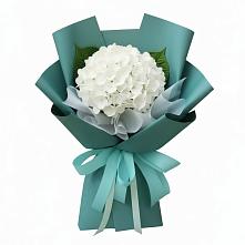 Букет цветов из:  Гортензия в Армянске